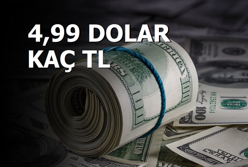 6.25 Dolar Ne Kadar, Kaç Tl?. $6,25